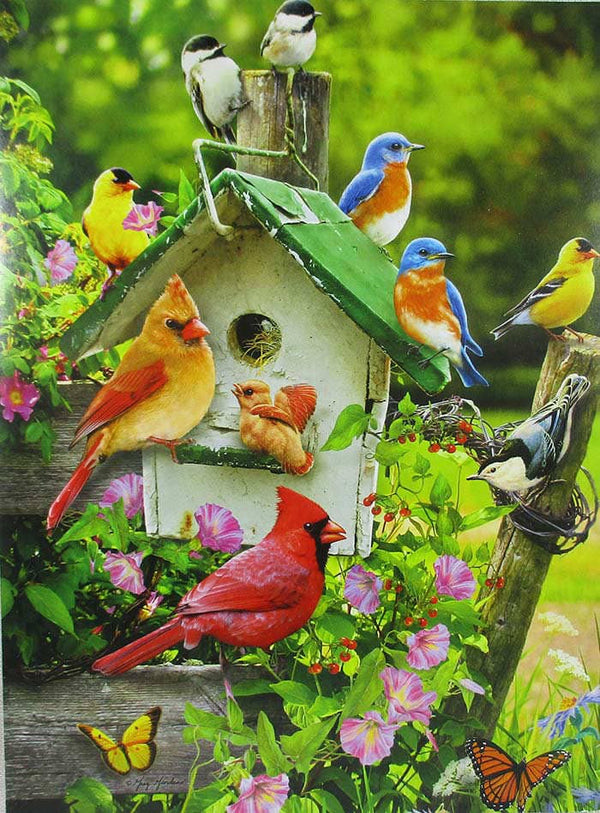Bright Birds Greetings Card - Blank inside - 1