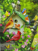 Bright Birds Greetings Card - Blank inside | Books & Greeting Cards