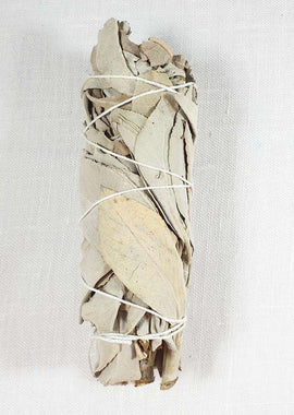California White Sage Smudge Sticks | Gift Boxes & Pouches