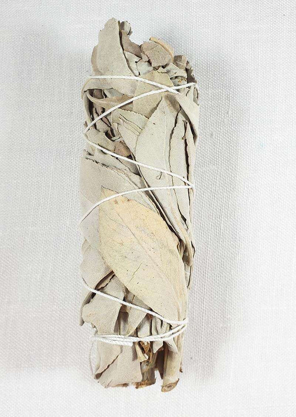 California White Sage Smudge Sticks | Gift Boxes & Pouches