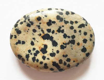 Dalmatian Jasper Thumb Stone | Cut & Polished Crystals | Polished Crystal Thumb Stones