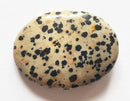 Dalmatian Jasper Thumb Stone | Cut & Polished Crystals | Polished Crystal Thumb Stones