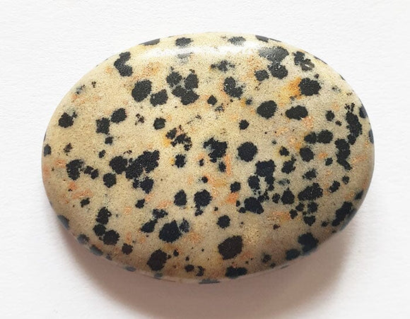 Dalmatian Jasper Thumb Stone | Cut & Polished Crystals | Polished Crystal Thumb Stones