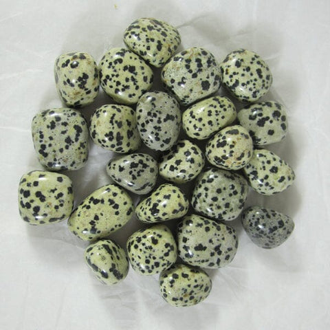 Dalmatian Jasper Tumble Stones (x3) Cut & Polished Crystals > Polished Crystal Tumble Stones