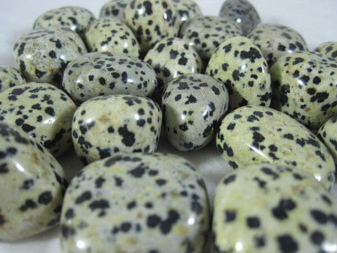 Dalmatian Jasper Tumble Stones (x3) Cut & Polished Crystals > Polished Crystal Tumble Stones