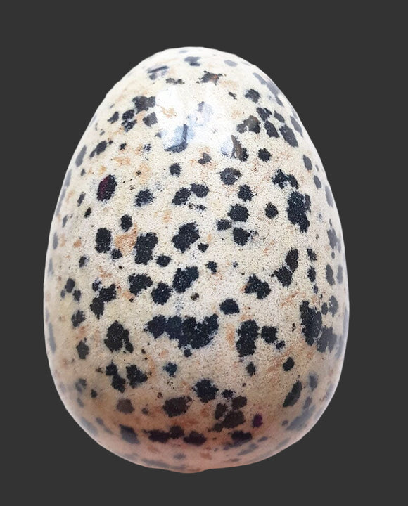 Dalmation Jasper Egg | Crystal Carvings | Polished Crystal Eggs
