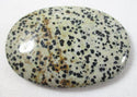 Dalmation Jasper palm Stone - 1