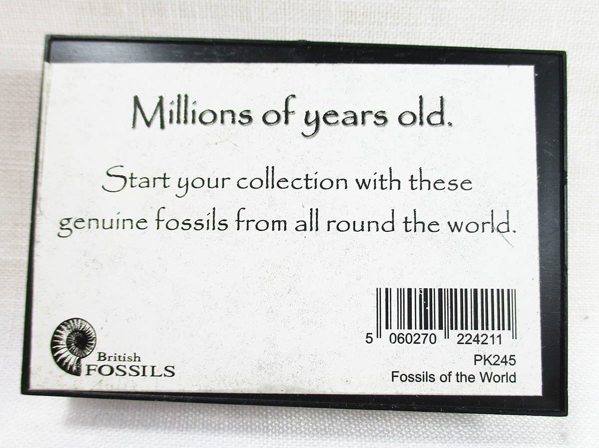 Fossils of The World Mini Collection - Others > Reduced to clear