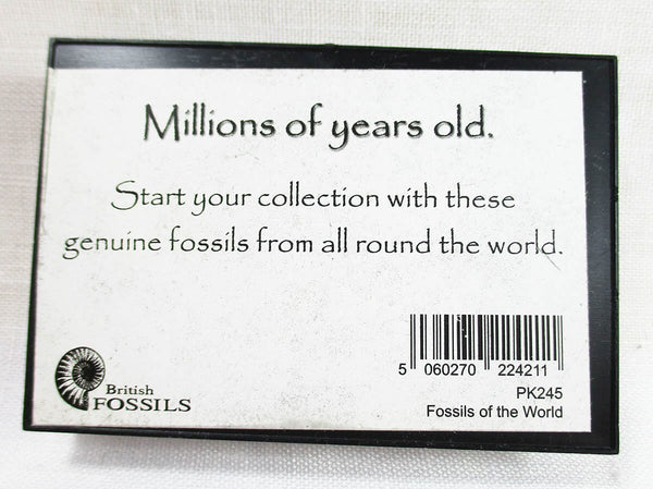 Fossils of The World Mini Collection - 2