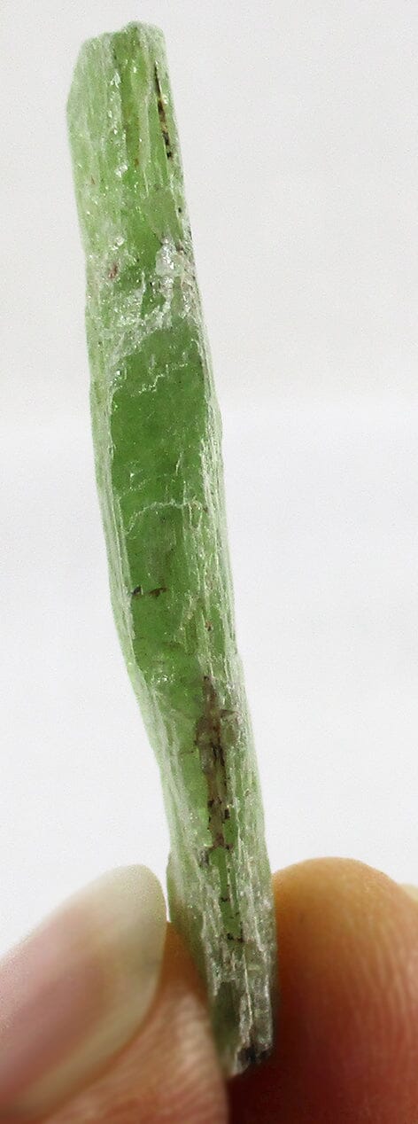 Green Kyanite Raw Chunk (Small) Natural Crystals > Raw Crystal Chunks