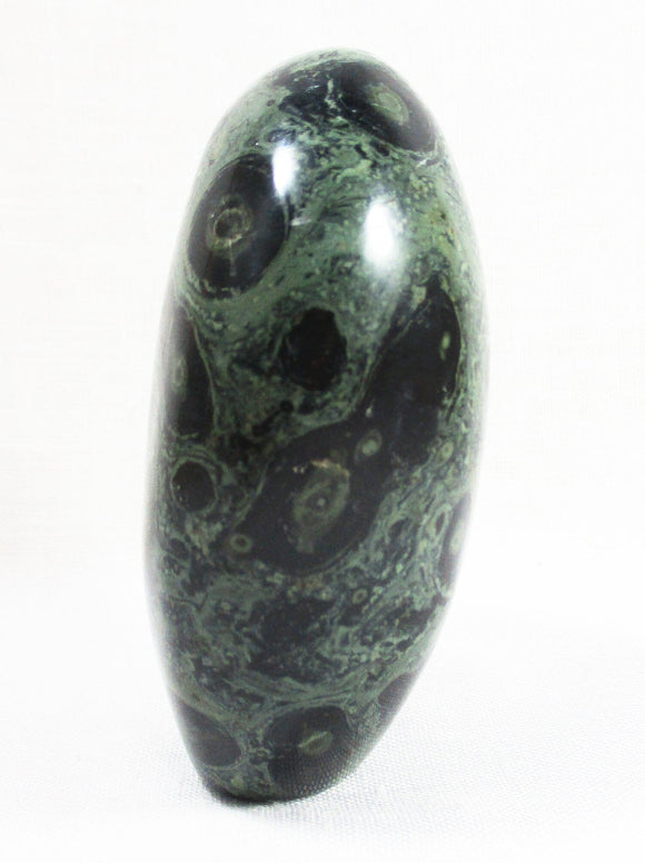 Kambaba Jasper Freeform | Cut & Polished Crystals | Polished Freeform Crystals