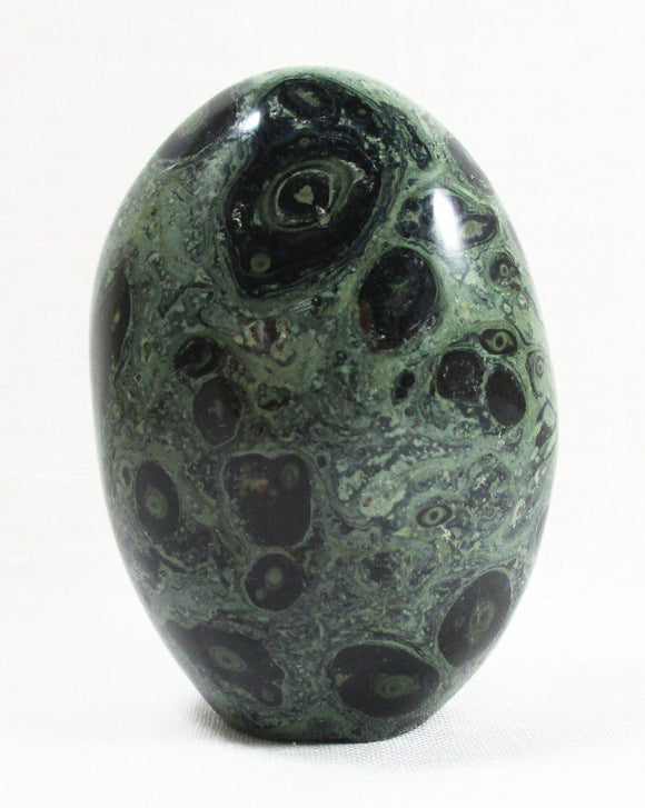 Kambaba Jasper Freeform | Cut & Polished Crystals | Polished Freeform Crystals