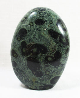 Kambaba Jasper Freeform | Cut & Polished Crystals | Polished Freeform Crystals