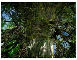 Keeper of The Woods Greetings Card | Books & Greeting Cards