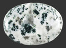 Moss Agate Palm Stone | Cut & Polished Crystals | Polished Crystal Palm Stones