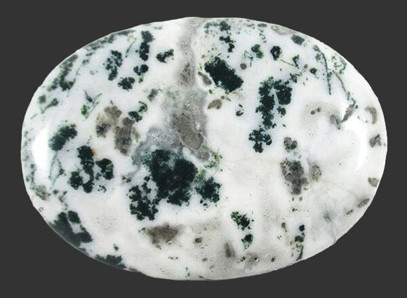 Moss Agate Palm Stone | Cut & Polished Crystals | Polished Crystal Palm Stones