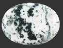 Moss Agate Palm Stone | Cut & Polished Crystals | Polished Crystal Palm Stones