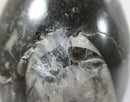 Orthoceras Egg | Crystal Carvings | Polished Crystal Eggs