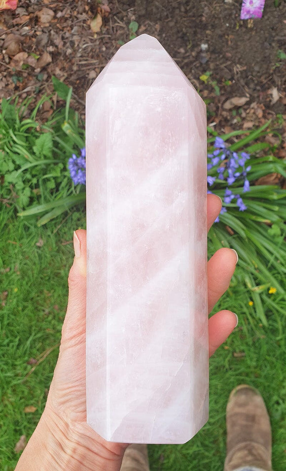 Polished Rose Quartz Crystal Point (XL) | Cut & Polished Crystals | Crystal Obelisks & Natural Points