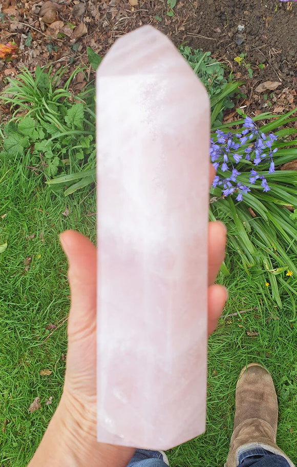 Polished Rose Quartz Crystal Point (XL) | Cut & Polished Crystals | Crystal Obelisks & Natural Points