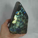 Labradorite Freeform (Large) | Cut & Polished Crystals | Polished Freeform Crystals