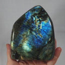 Blue Gold Flash Labradorite Freeform Large | Cut & Polished Crystals | Polished Freeform Crystals