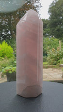 Polished Rose Quartz Crystal Point (XL) | Cut & Polished Crystals | Crystal Obelisks & Natural Points