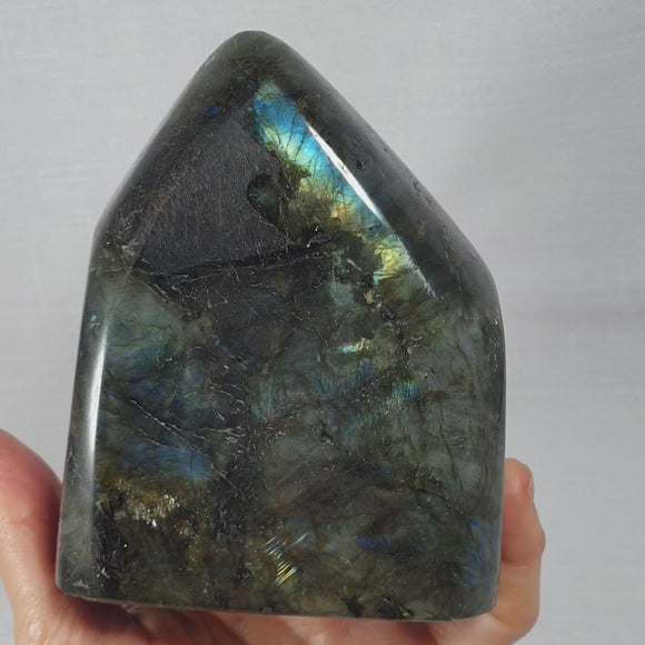 Blue Gold Flash Labradorite Freeform Large | Cut & Polished Crystals | Polished Freeform Crystals
