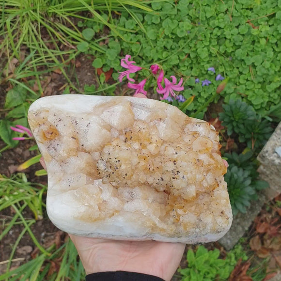 Citrine Cluster for Abundance and Happiness (Large) | Natural Crystals | Natural Crystal Clusters