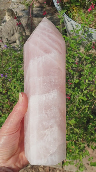 Polished Rose Quartz Crystal Point (XL) | Cut & Polished Crystals | Crystal Obelisks & Natural Points