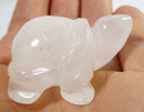 Quartz Tortoise | Crystal Carvings | Carved Crystal Animals