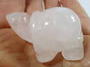 Quartz Tortoise | Crystal Carvings | Carved Crystal Animals