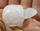 Quartz Tortoise | Crystal Carvings | Carved Crystal Animals