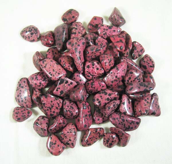 Red Dalmation Jasper Tumble Stones (x3) Small - Cut & Polished Crystals > Polished Crystal Tumble Stones