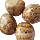Aragonite Tumble Stone (x1) | Cut & Polished Crystals | Polished Crystal Tumble Stones