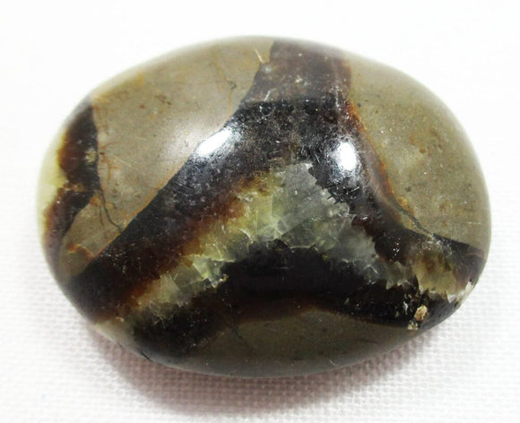 Septaria Thumb Pebble | Cut & Polished Crystals | Polished Crystal Thumb Stones
