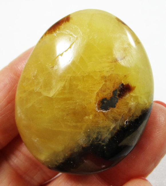 Septaria Thumb Pebble | Cut & Polished Crystals | Polished Crystal Thumb Stones