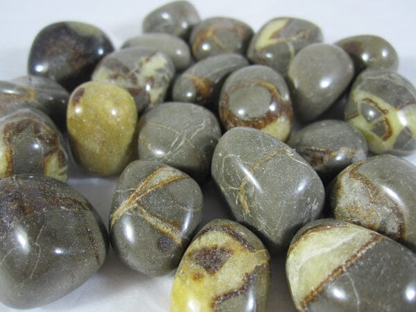 Septaria Tumble Stones (x3) - Cut & Polished Crystals > Polished Crystal Tumble Stones