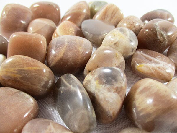 Shaded Moonstone Rough Tumble Stones (x3) - Cut & Polished Crystals > Polished Crystal Tumble Stones