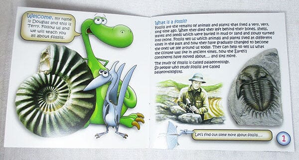 The Little Study of Fossils Childrens Book - Others > Books & Greeting Cards