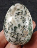 Tree Jasper Egg | Crystal Carvings | Polished Crystal Eggs