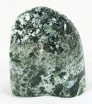 Tree Jasper Freeform | Cut & Polished Crystals | Polished Freeform Crystals