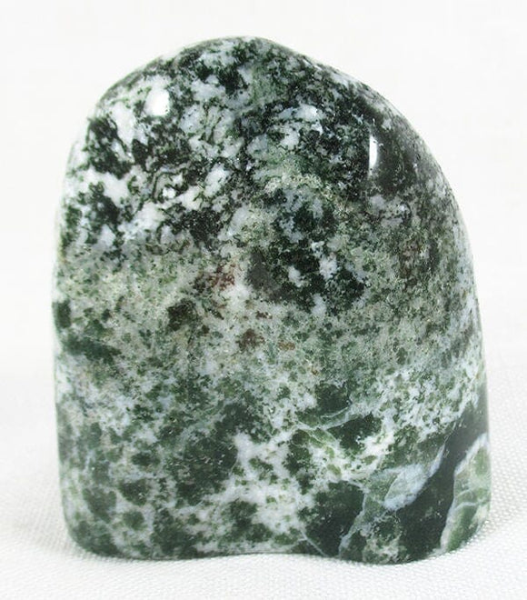 Tree Jasper Freeform | Cut & Polished Crystals | Polished Freeform Crystals