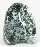 Tree Jasper Freeform | Cut & Polished Crystals | Polished Freeform Crystals