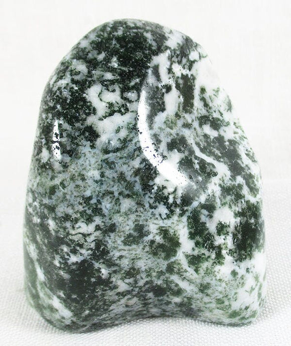 Tree Jasper Freeform | Cut & Polished Crystals | Polished Freeform Crystals