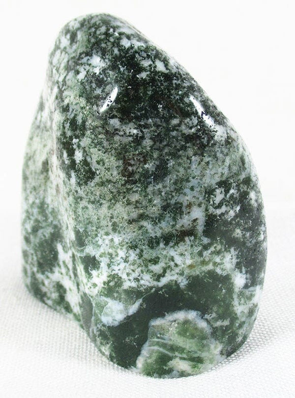 Tree Jasper Freeform | Cut & Polished Crystals | Polished Freeform Crystals