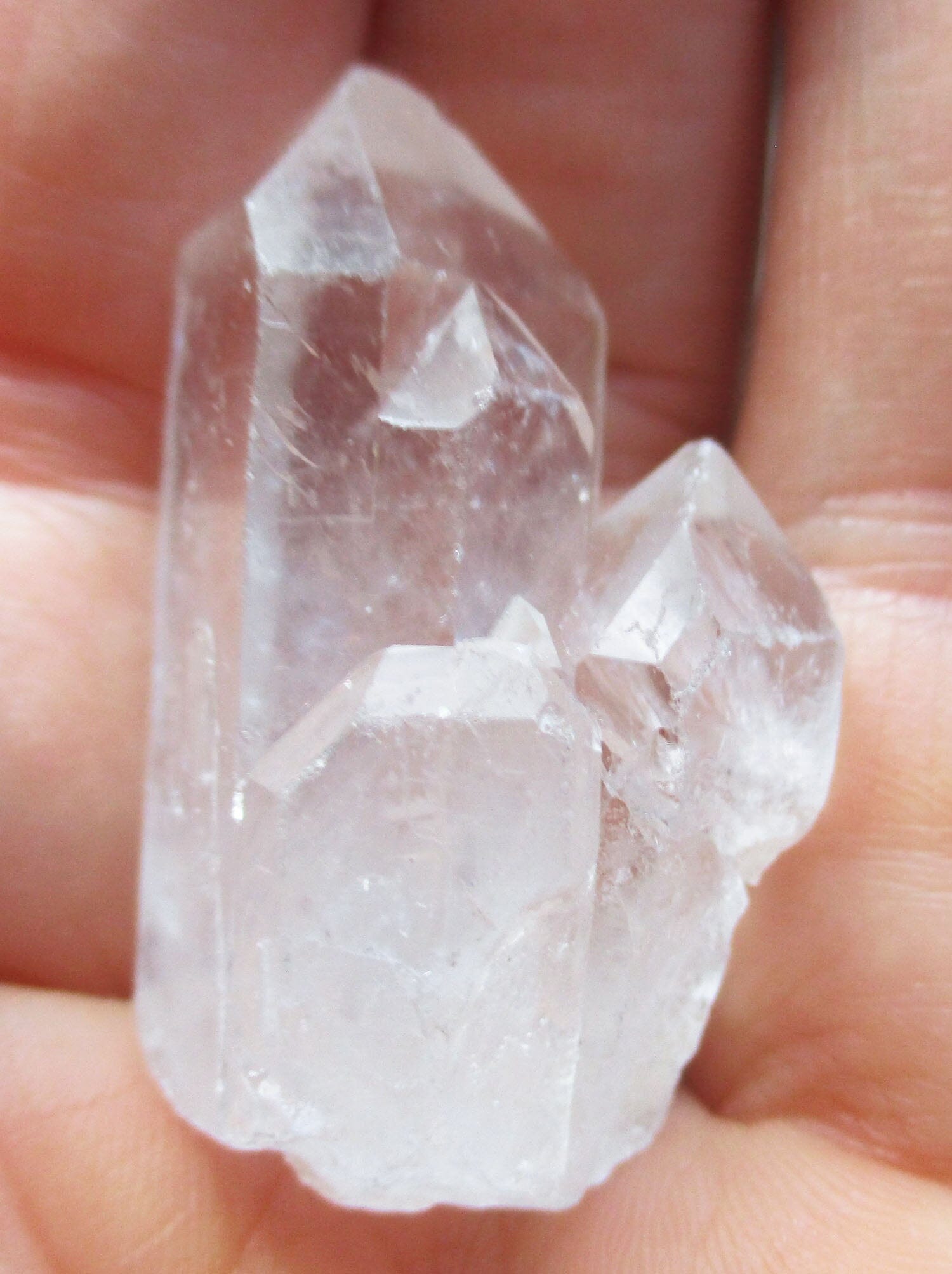 Triple Dolphin Mini Rough Cluster - Cut & Polished Crystals > Crystal Obelisks & Natural Points
